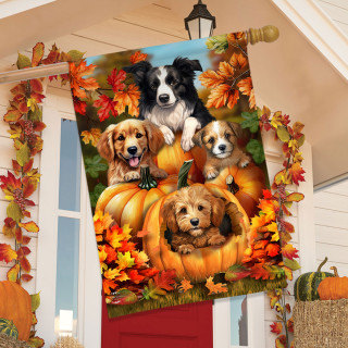 supplemental image 2