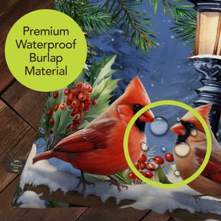 supplemental image 3