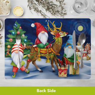 supplemental image 4