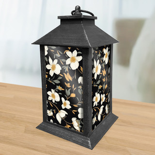 supplemental image 2