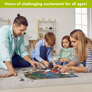 supplemental image 3