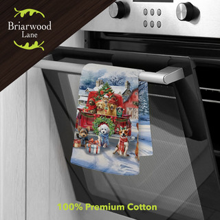 supplemental image 1