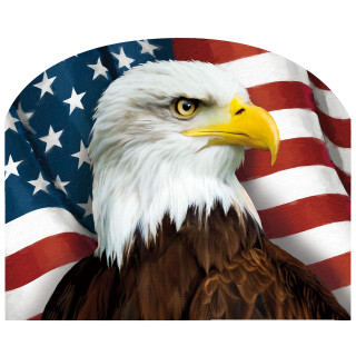 American Eagle Patriotic Acrylic Art Sign with eagle and American flag design, brown, white, yellow colors.