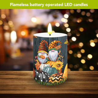 supplemental image 2