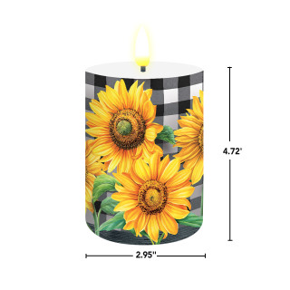 supplemental image 1