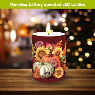 supplemental image 2