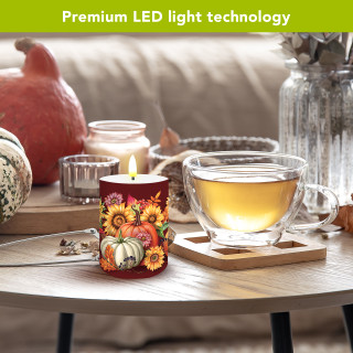 supplemental image 4