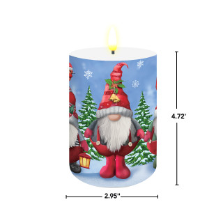 supplemental image 1