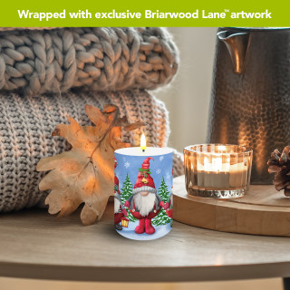 supplemental image 3