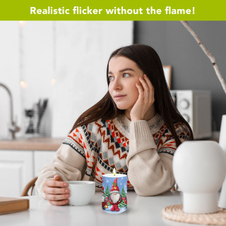 supplemental image 5