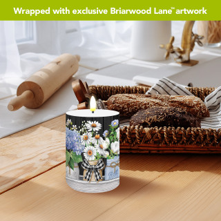 supplemental image 3