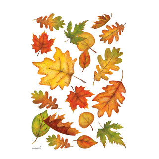 Colorful assortment of fall leaves in various shades of orange, yellow, red, and green.