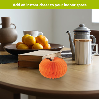 supplemental image 3