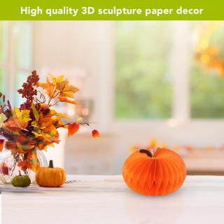 supplemental image 4