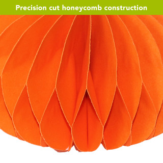 supplemental image 5