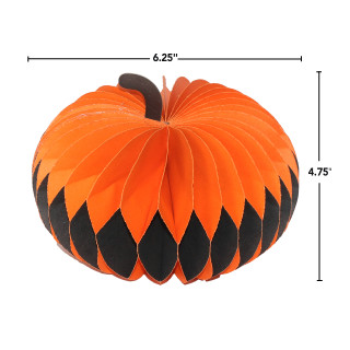 supplemental image 1