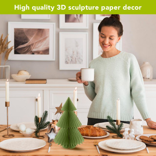 supplemental image 4