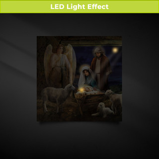 supplemental image 1