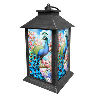 Fancy Peacock Lantern, black metal, colorful peacock design, pink flowers, blue background, vibrant green and blue hues.
