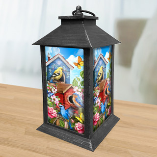 supplemental image 2