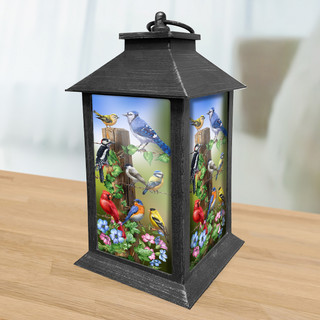 Black Country Birds Lantern with colorful bird and floral design on a wooden surface.