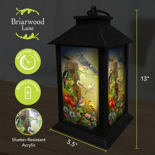 Briarwood Lane Country Birds Lantern, black, 5.5" wide, 13" tall, colorful bird design.