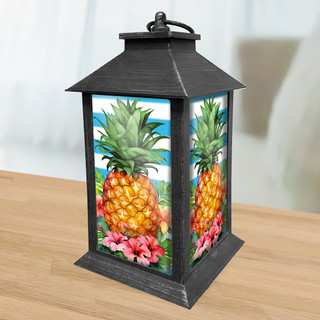 supplemental image 2