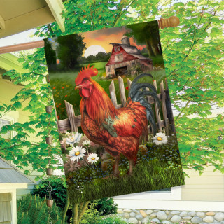 supplemental image 2