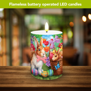 supplemental image 2