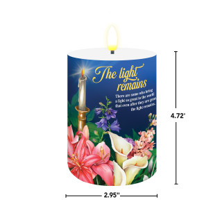 supplemental image 1