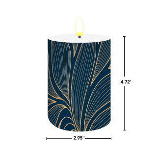 supplemental image 1