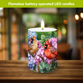 supplemental image 2