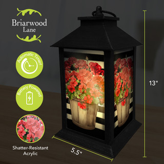 Briarwood Lane black metal lantern with striped geraniums and shatter-resistant acrylic panels, battery powered.