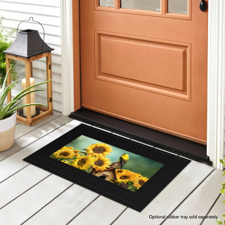 supplemental image 2