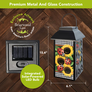 supplemental image 1