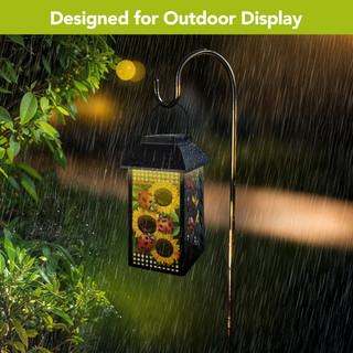 supplemental image 5