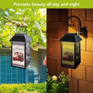 supplemental image 2