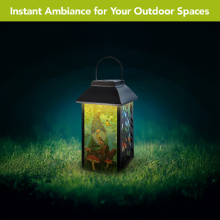 supplemental image 3