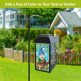 supplemental image 4