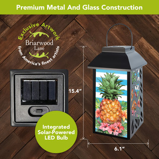 supplemental image 1