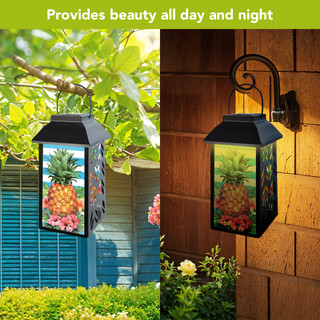 supplemental image 2