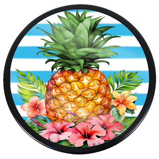 supplemental image 1