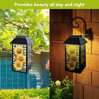 supplemental image 2