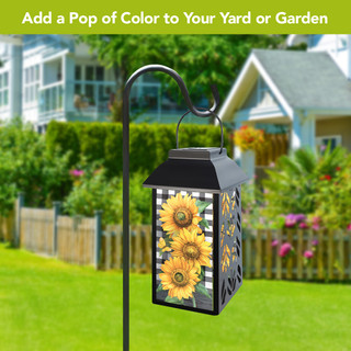 supplemental image 4