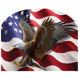 American Freedom Eagle acrylic art sign with eagle and American flag design, brown and white colors.