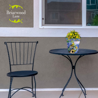 Briarwood Lane small black metal table and chair with Goldfinches and Hydrangea planter.