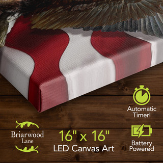 American Freedom Eagle Medium LED Canvas Art, 16x16 inches, Briarwood Lane, battery powered decorative wall art.
