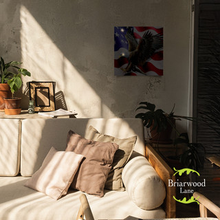 American Freedom Eagle Medium LED Canvas Art on a wall above a white couch with pillows.