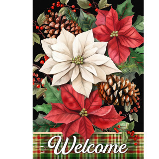 supplemental image 1