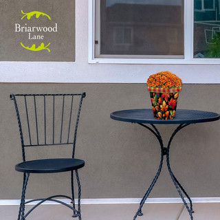 Briarwood Lane Autumn Color Leaves Small Planter on black metal table and chair setting.